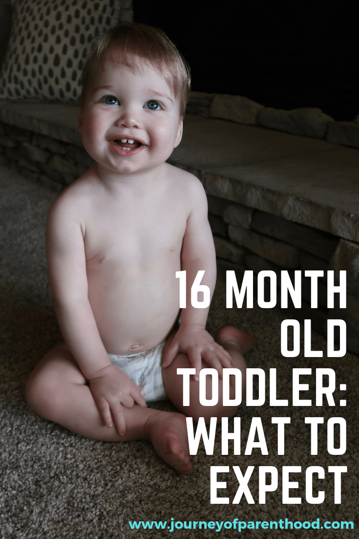 pinterest image: 16 months old toddler: what to expect 