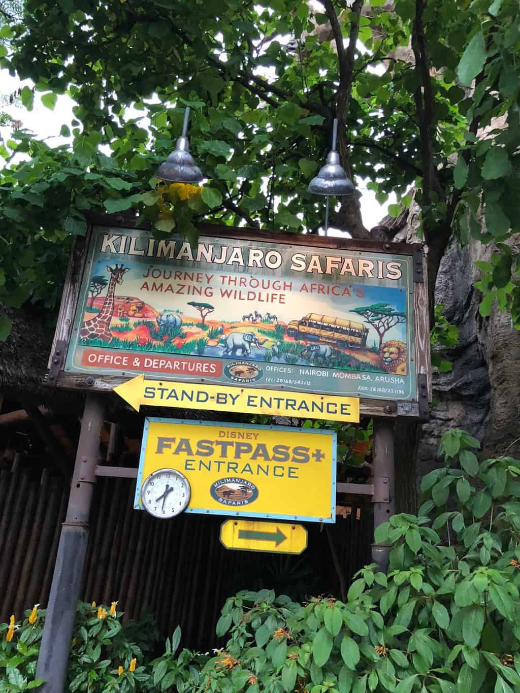 Kilimanjaro safaris