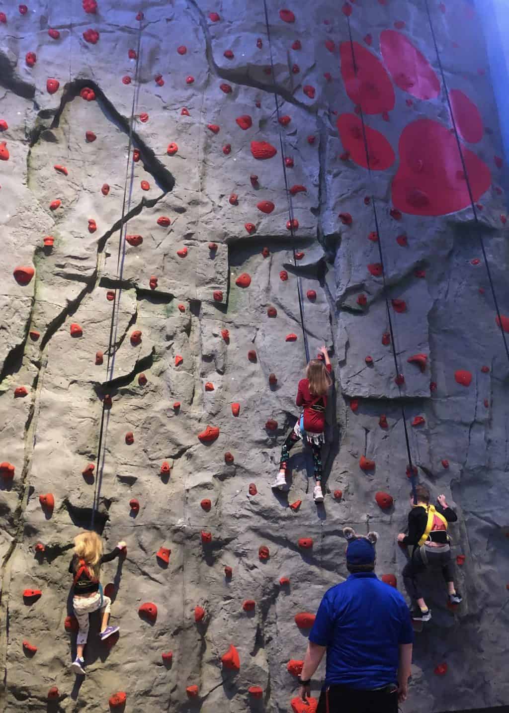 great wolf lodge rock wall