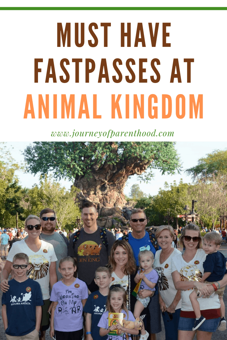 pinable image must have fast passes at animal kingdom