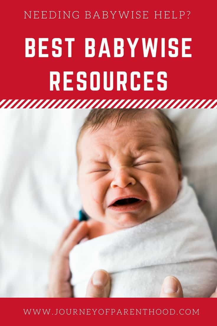 Needing Babywise Help? Best Babywise Resources!