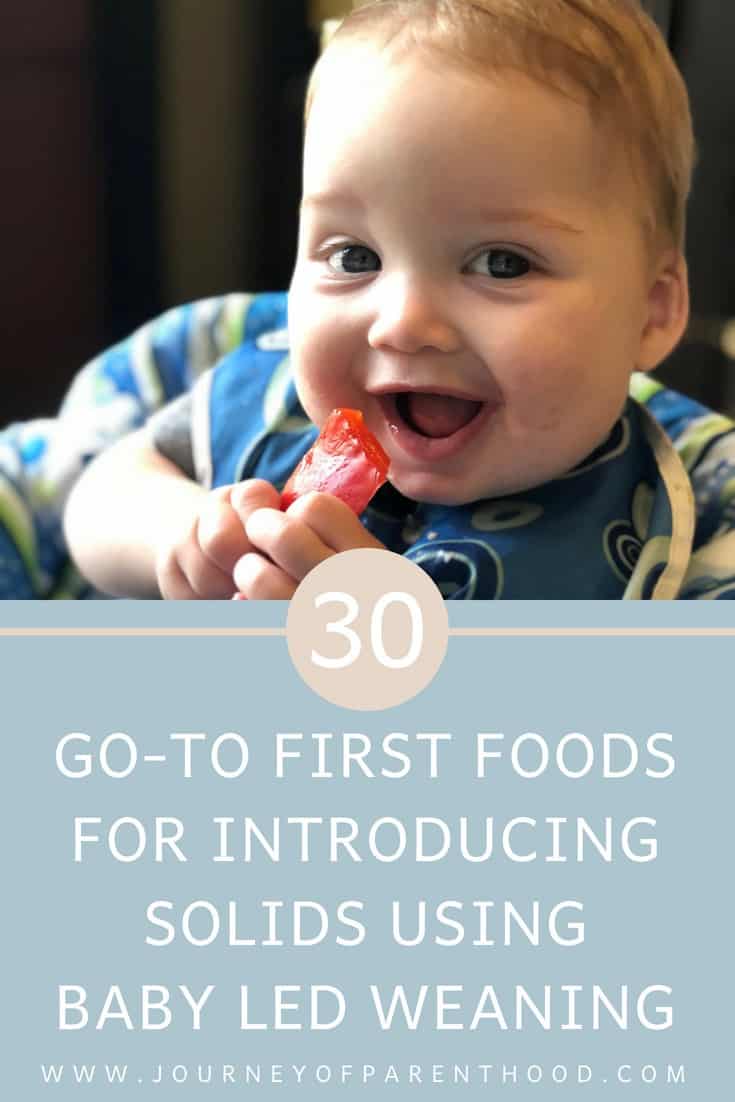 30 go-to first foods for introducing solids using baby led weaning