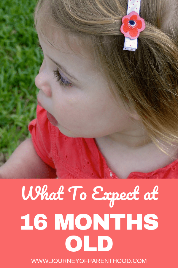 what to expect toddler girl 16 months old