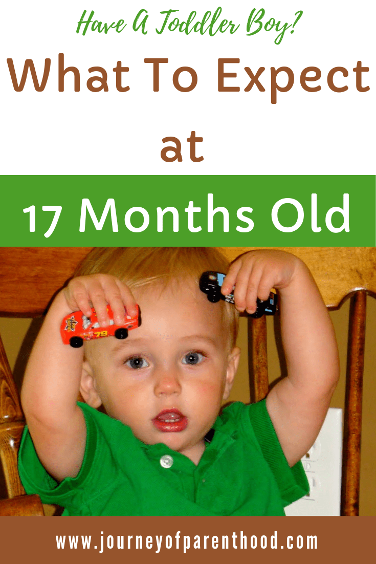 pinable image: what to expect at 17 months old