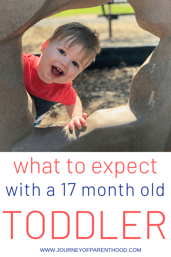 pinable image: what to expect with a 17 month old toddler