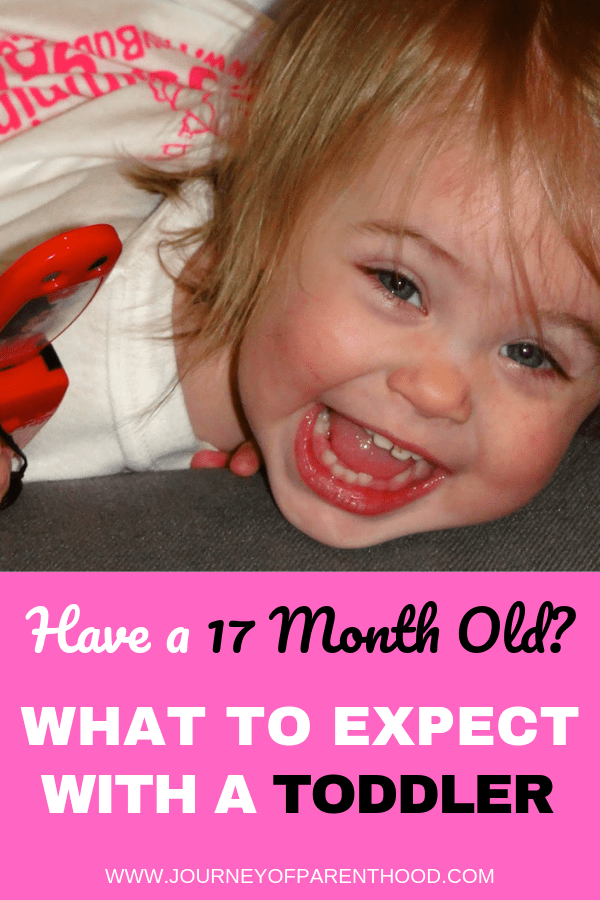 pinable image what to expect with a 17 month old toddler