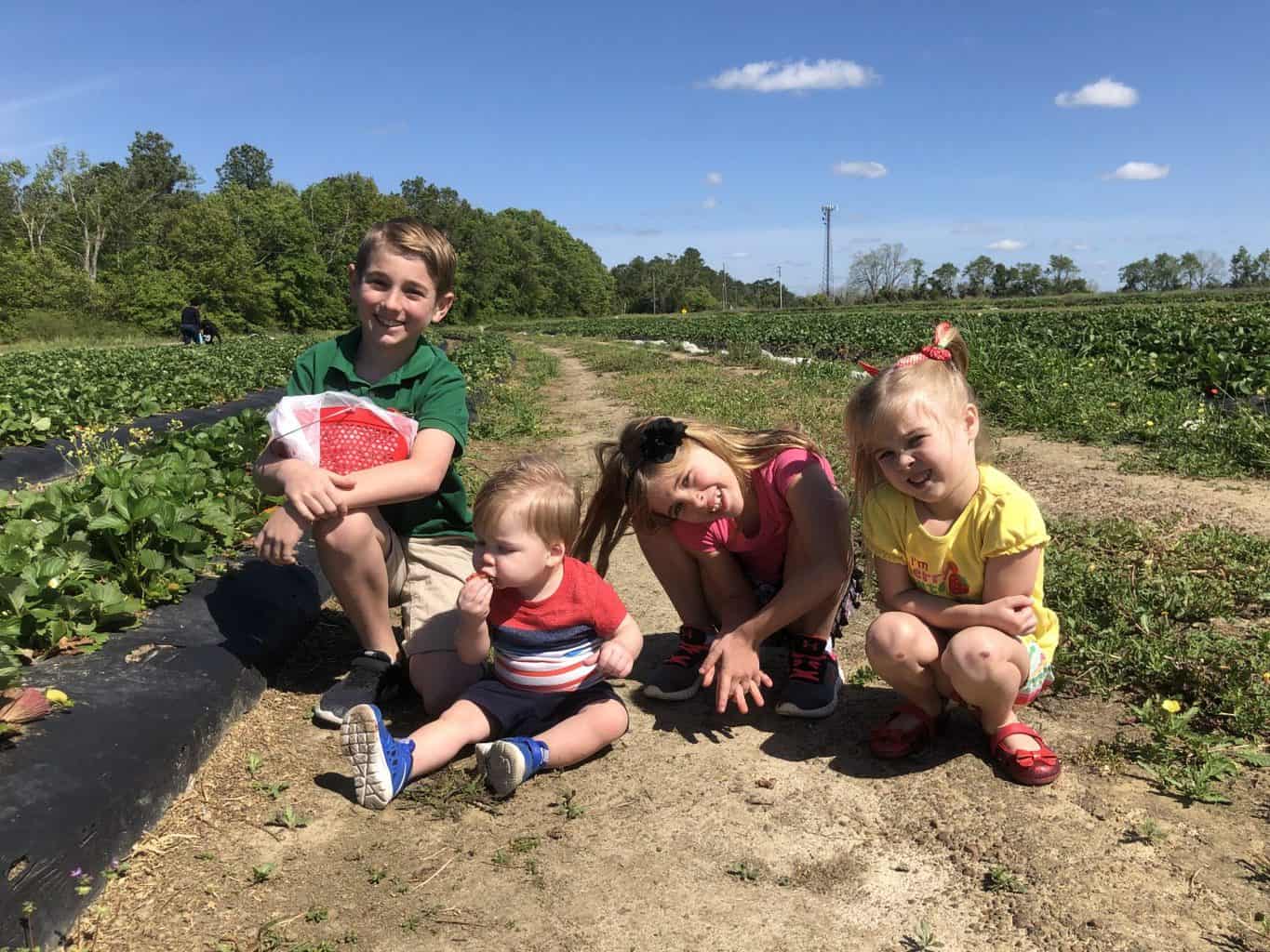 strawberry patch with kids 