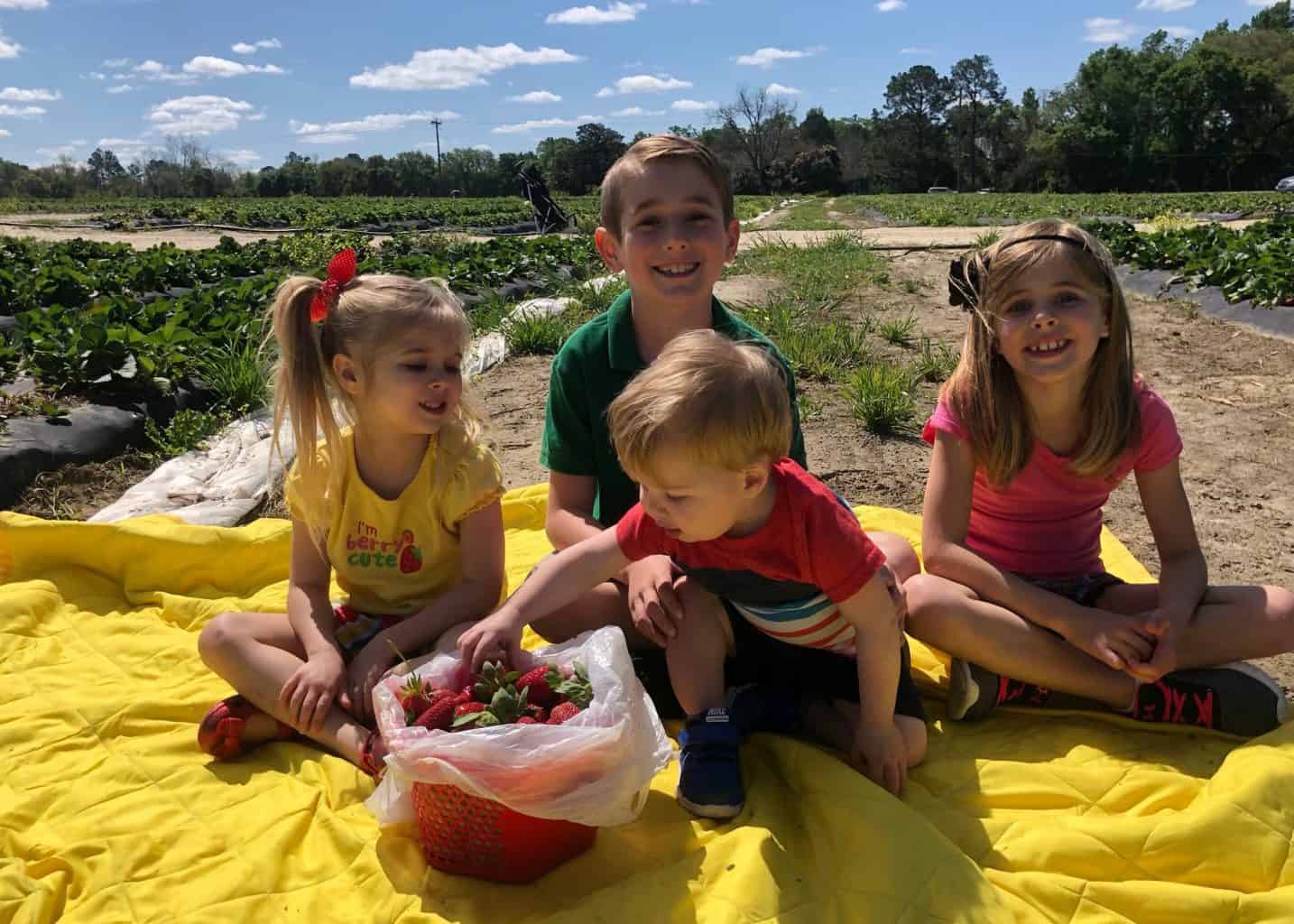 strawberry patch with kids 