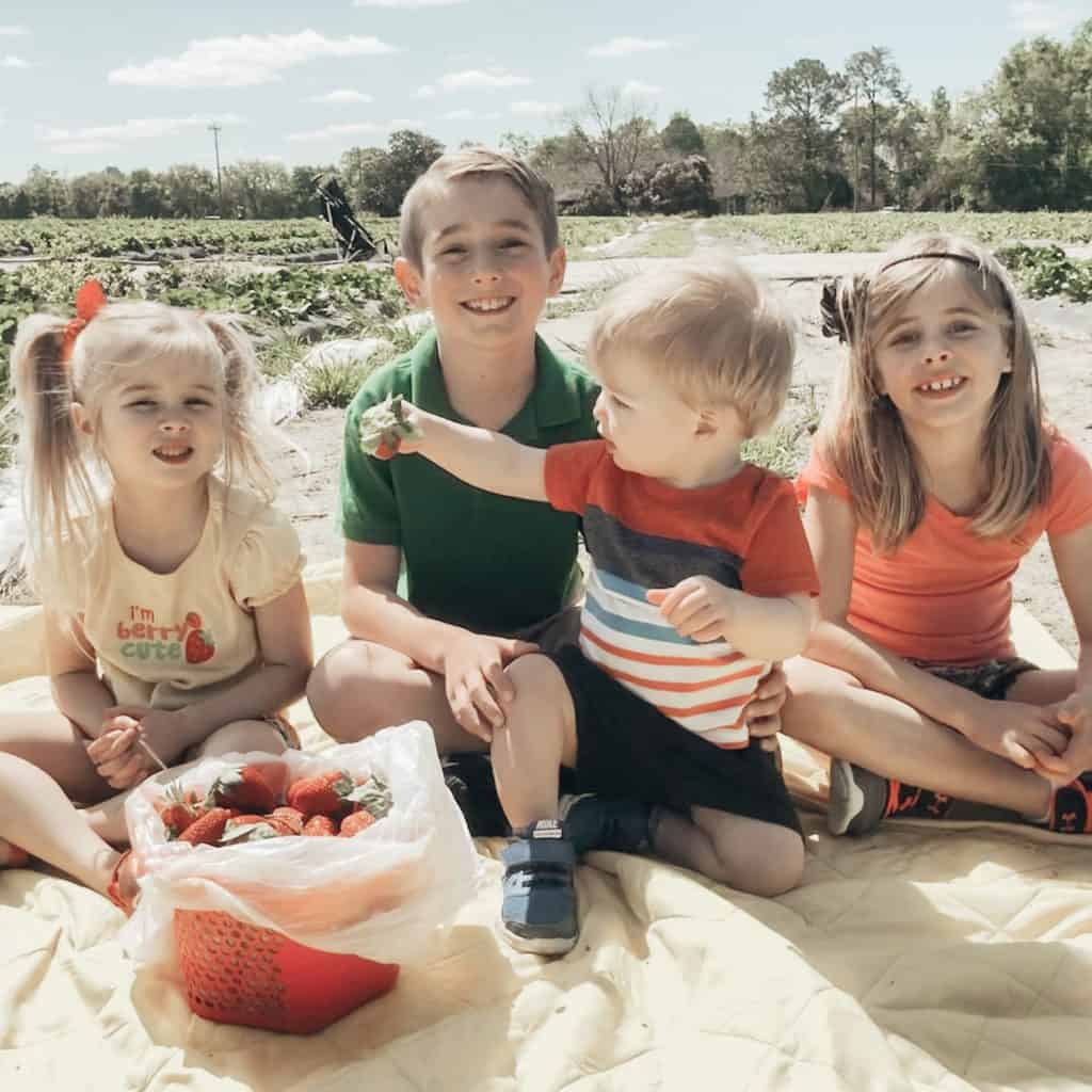 strawberry patch with kids 