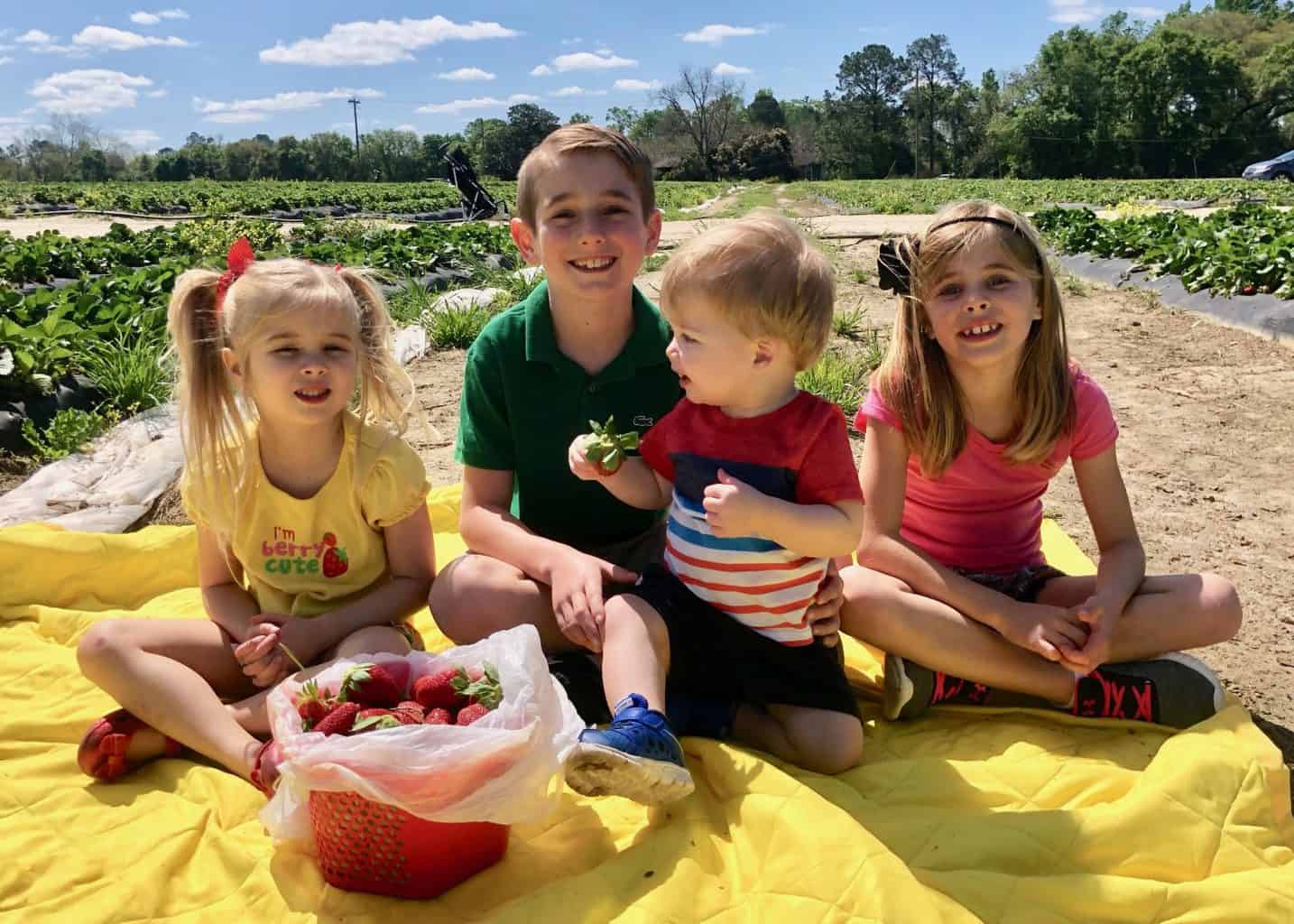 strawberry patch with kids 