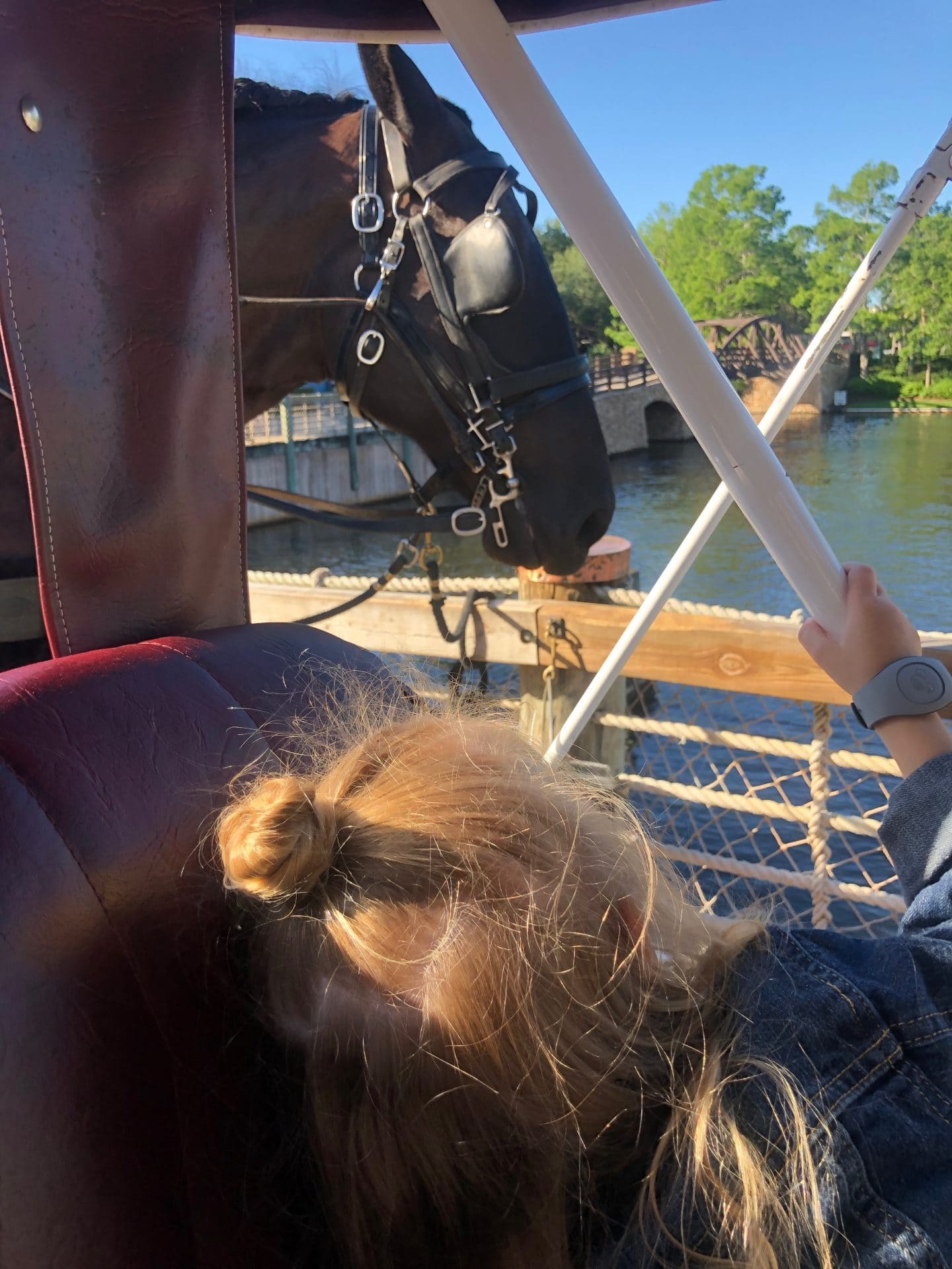 carriage ride at Disney World port orleans riverside