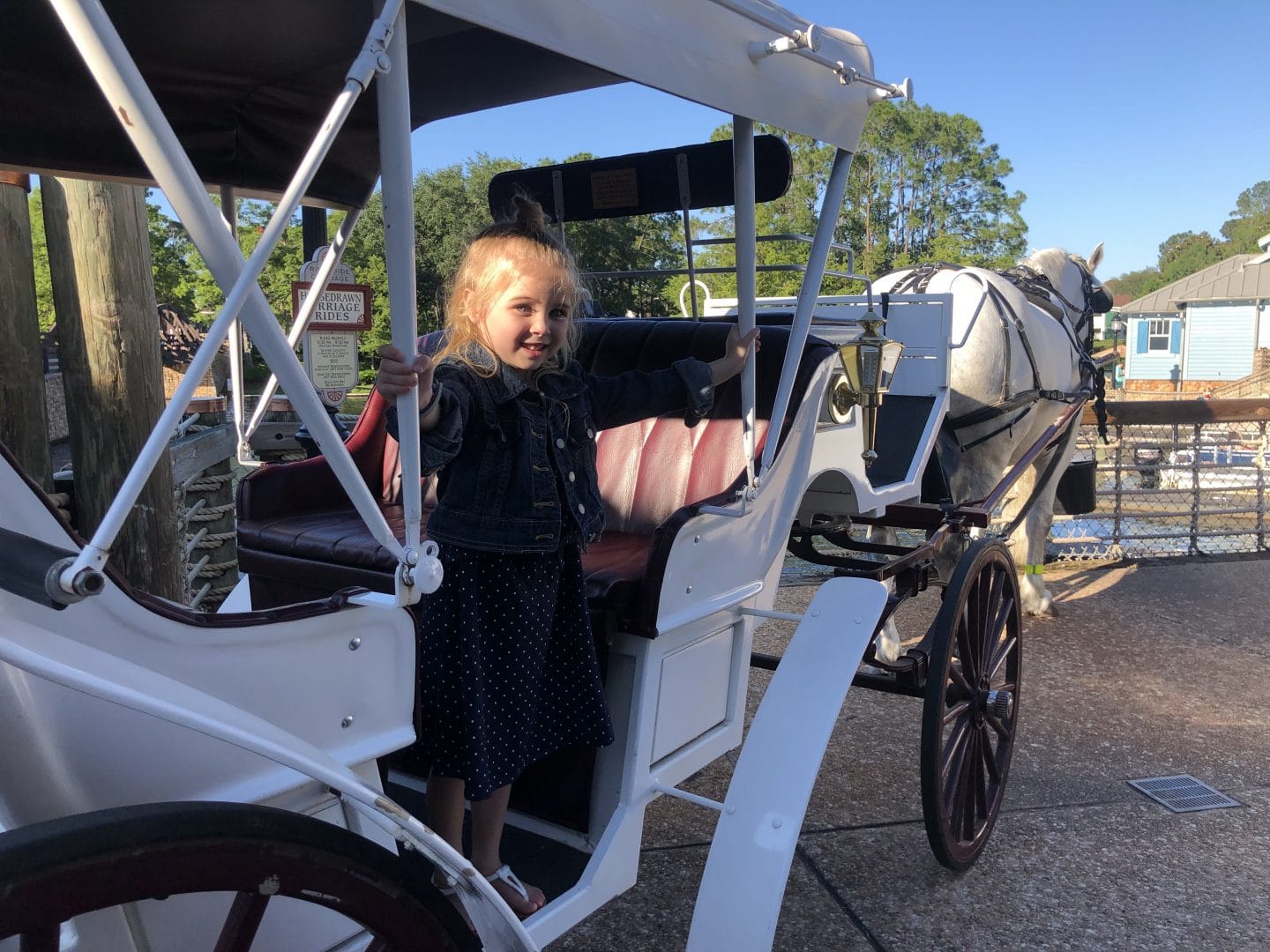 carriage ride at Disney World port orleans riverside