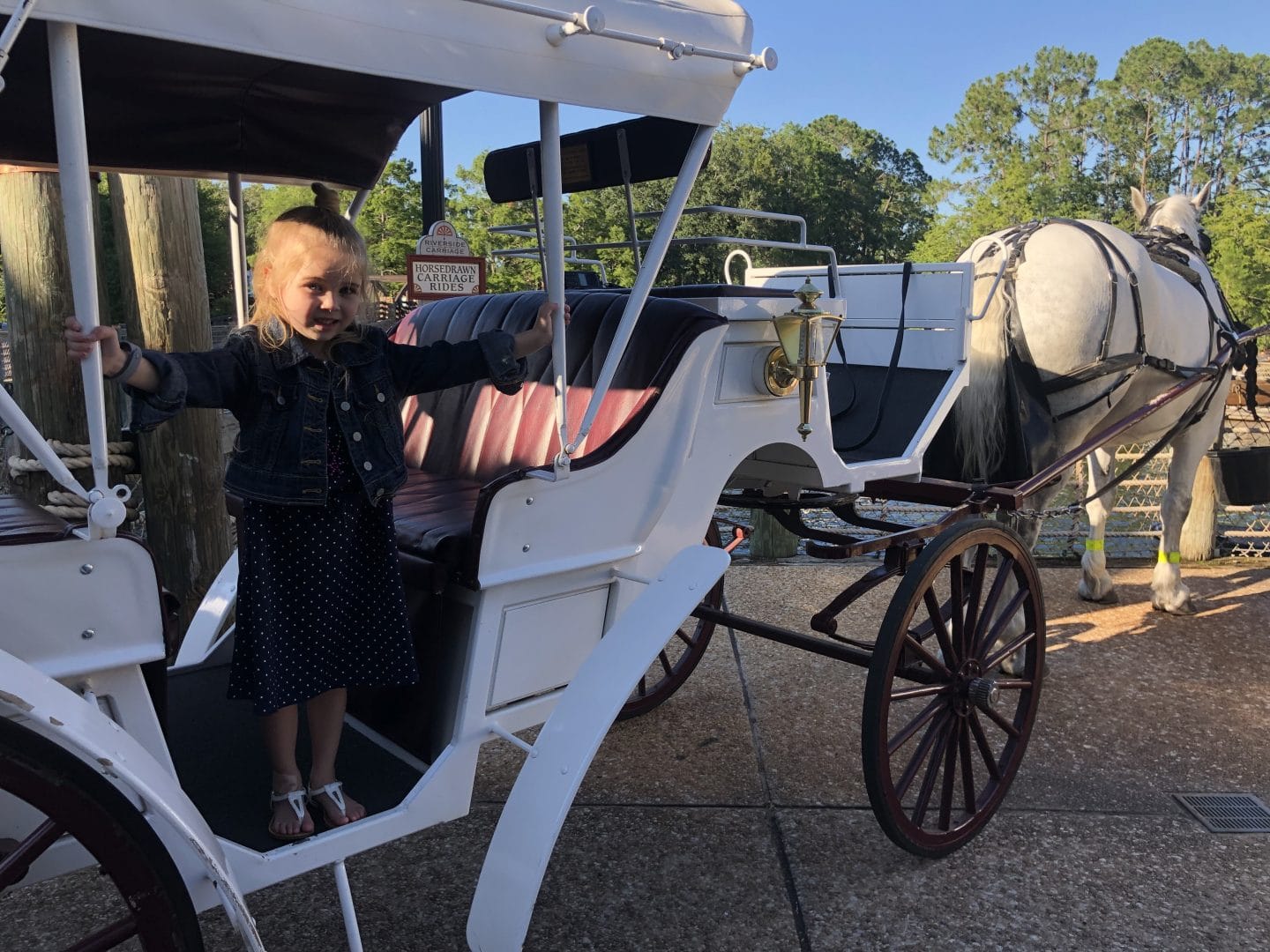 carriage ride at Disney World port orleans riverside