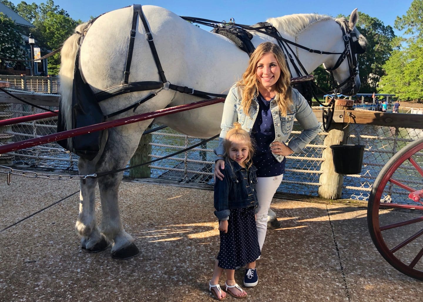 carriage ride at Disney World port orleans riverside