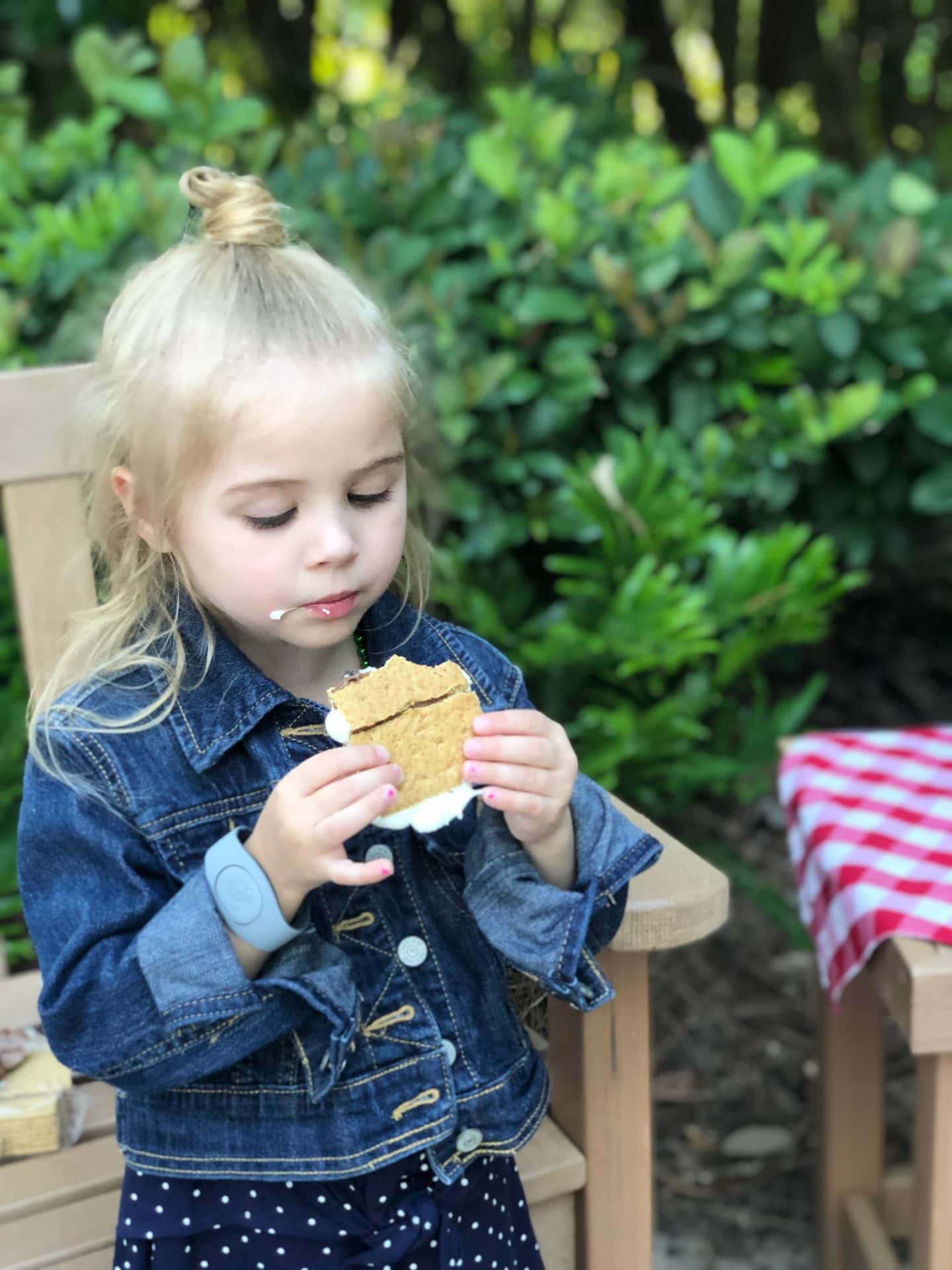 campfire and s'mores at port orleans riverside at Disney World