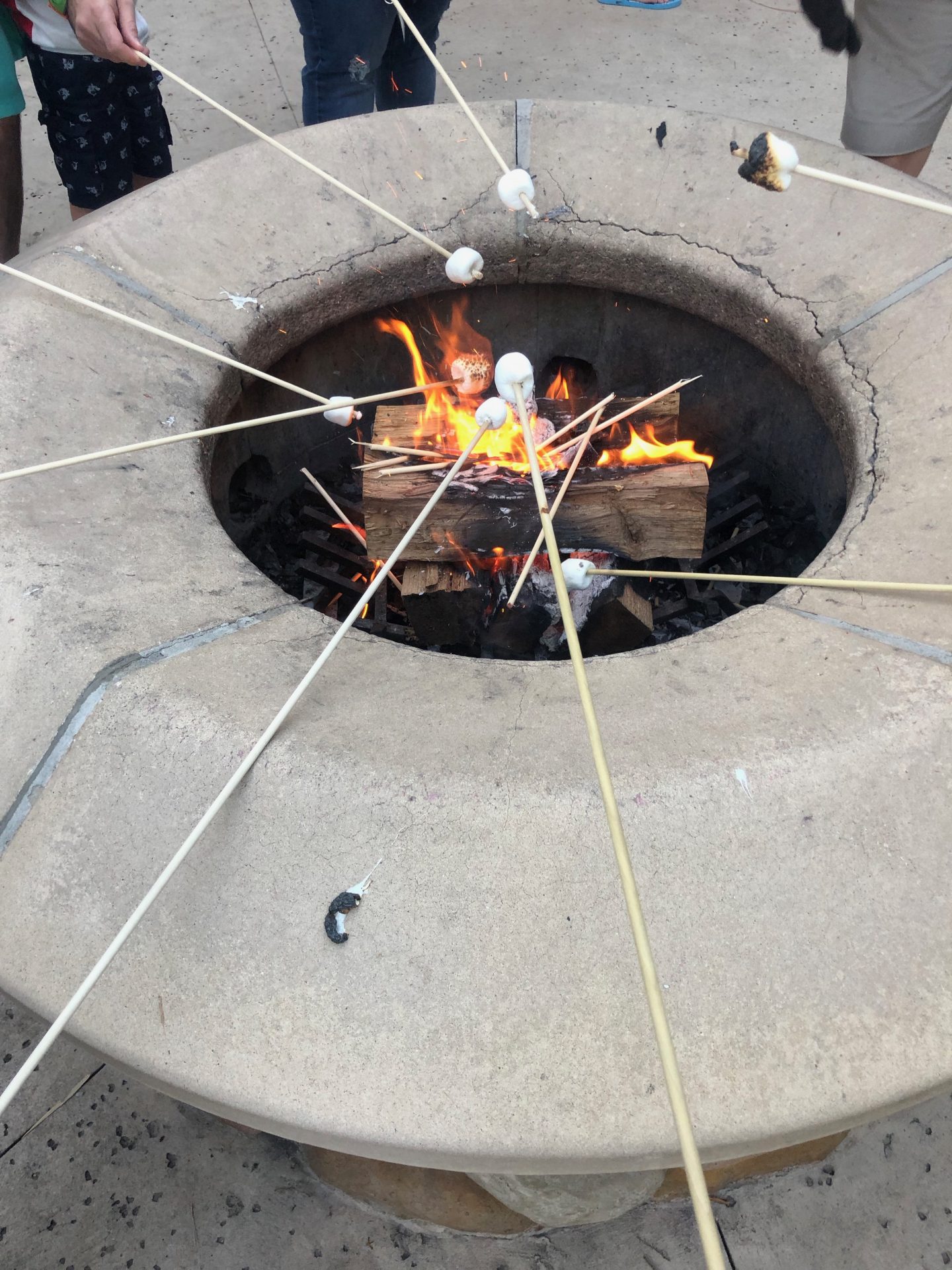 campfire and s'mores at port orleans riverside at Disney World