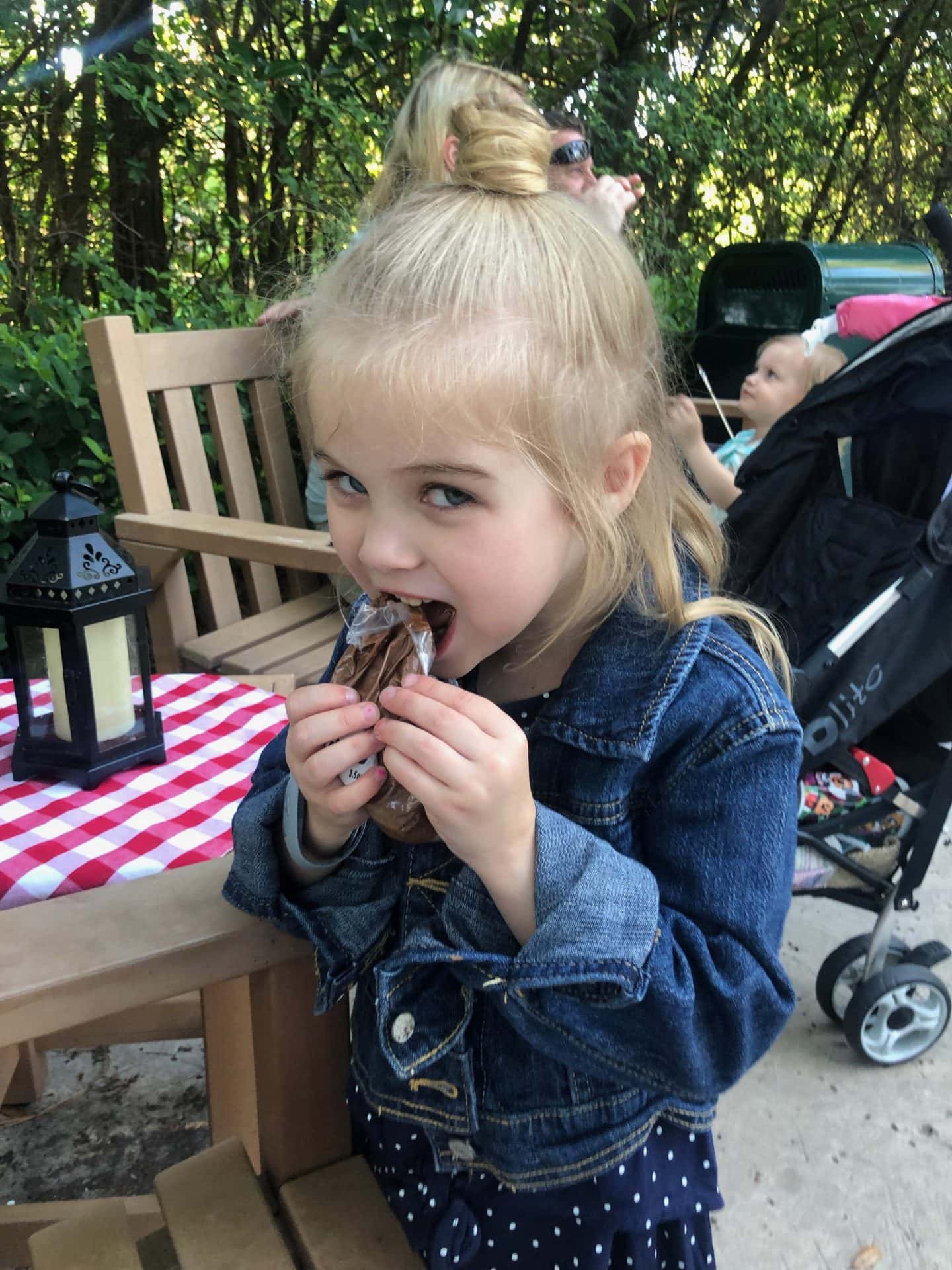 campfire and s'mores at port orleans riverside at Disney World