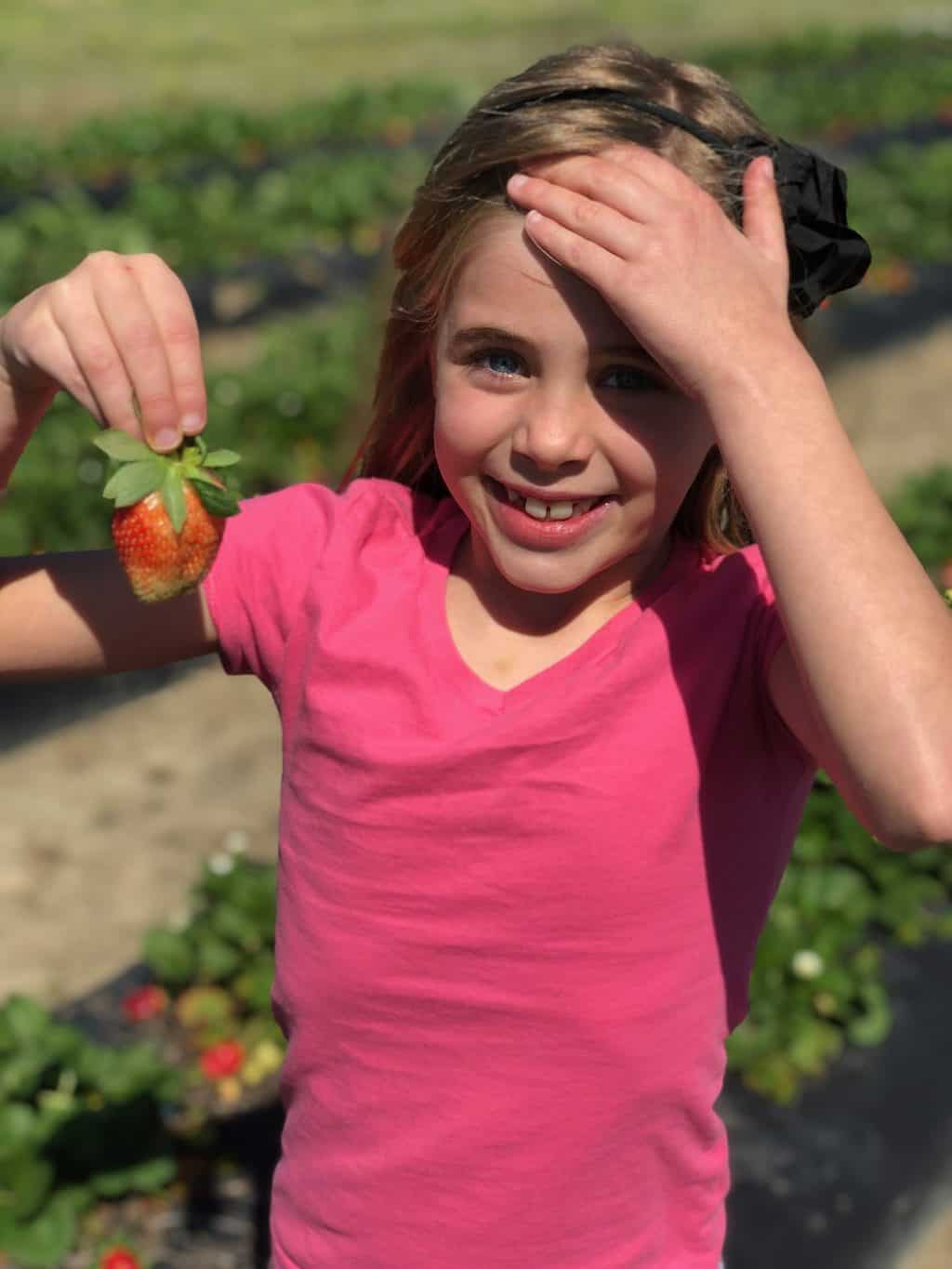 strawberry patch with kids