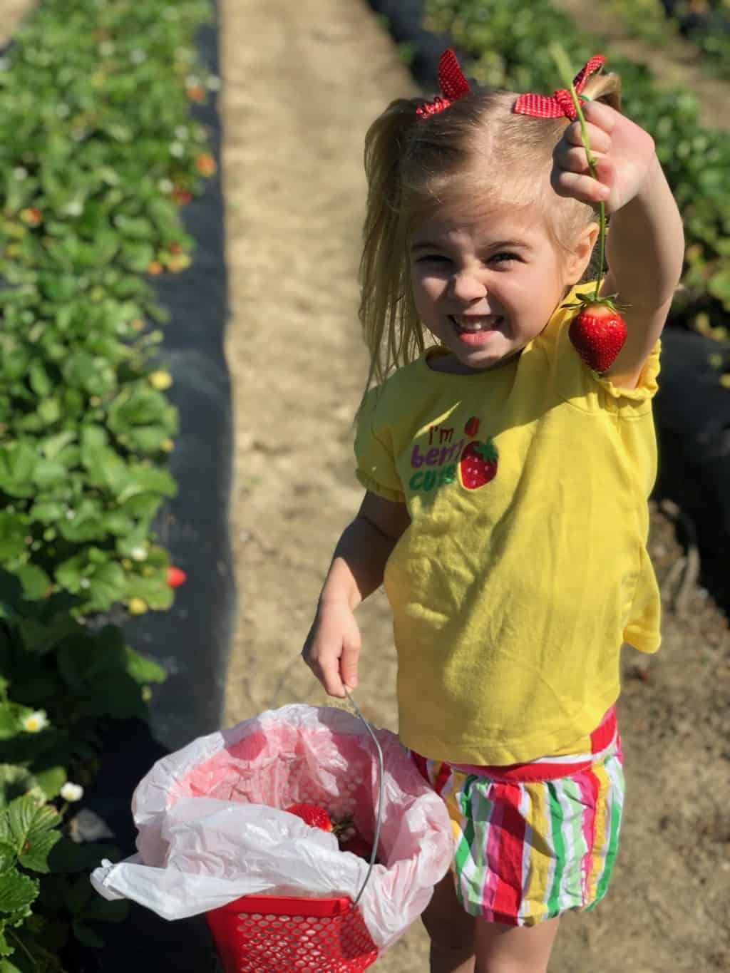 strawberry patch with kids