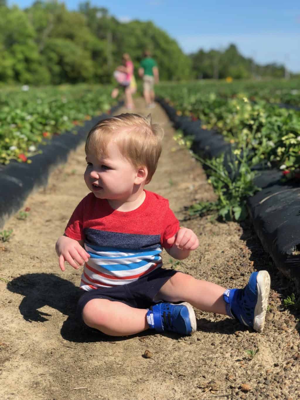 strawberry patch with kids 