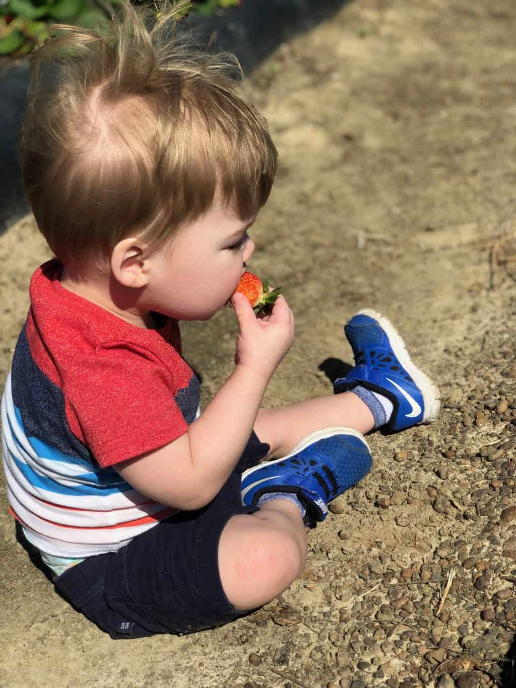 strawberry patch with kids 