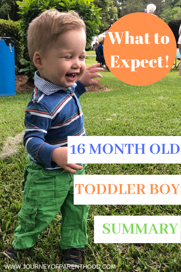 toddler boy summary at 16 months old