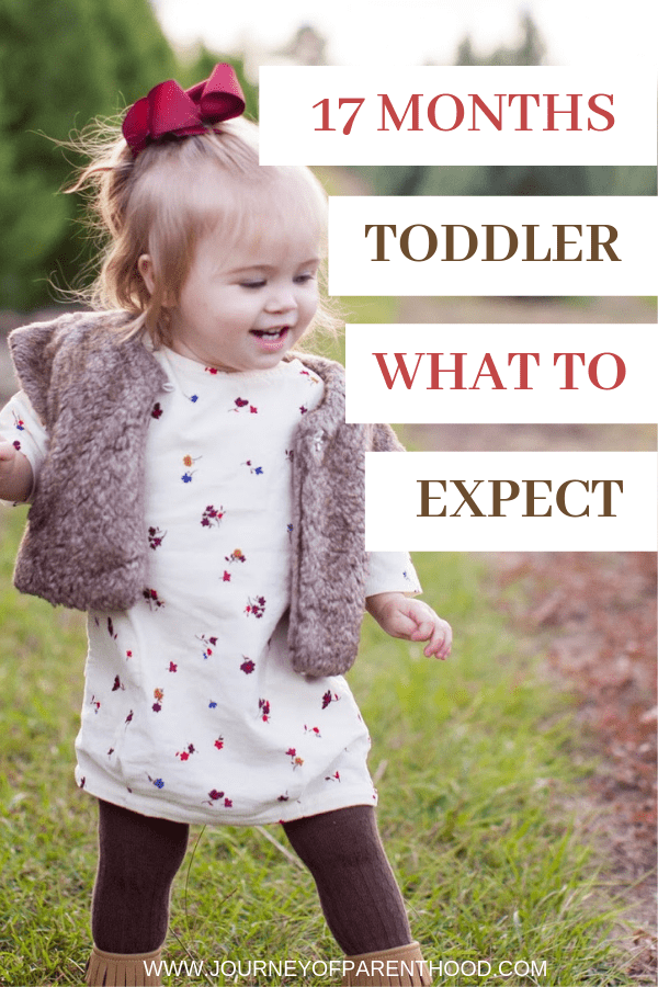 pinable image: 17 months toddler what to expect