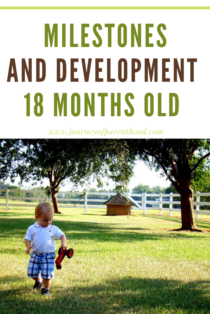 milestones and development at 18 months old