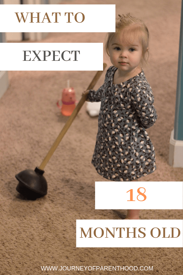 18 month old toddler girl holding plunger