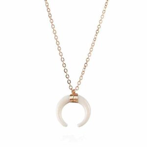 Horn Necklace