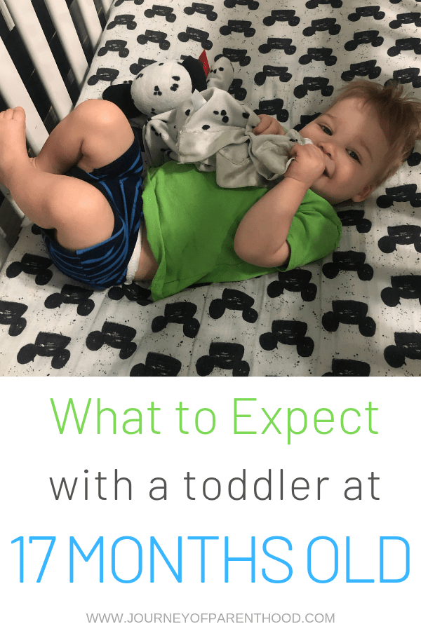 toddler boy in bed with words : What to expect with a toddler at 17 months old