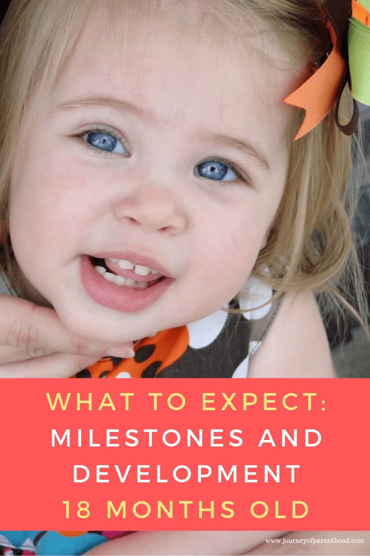 toddler girl - what to expect: milestones and development at 18 months old