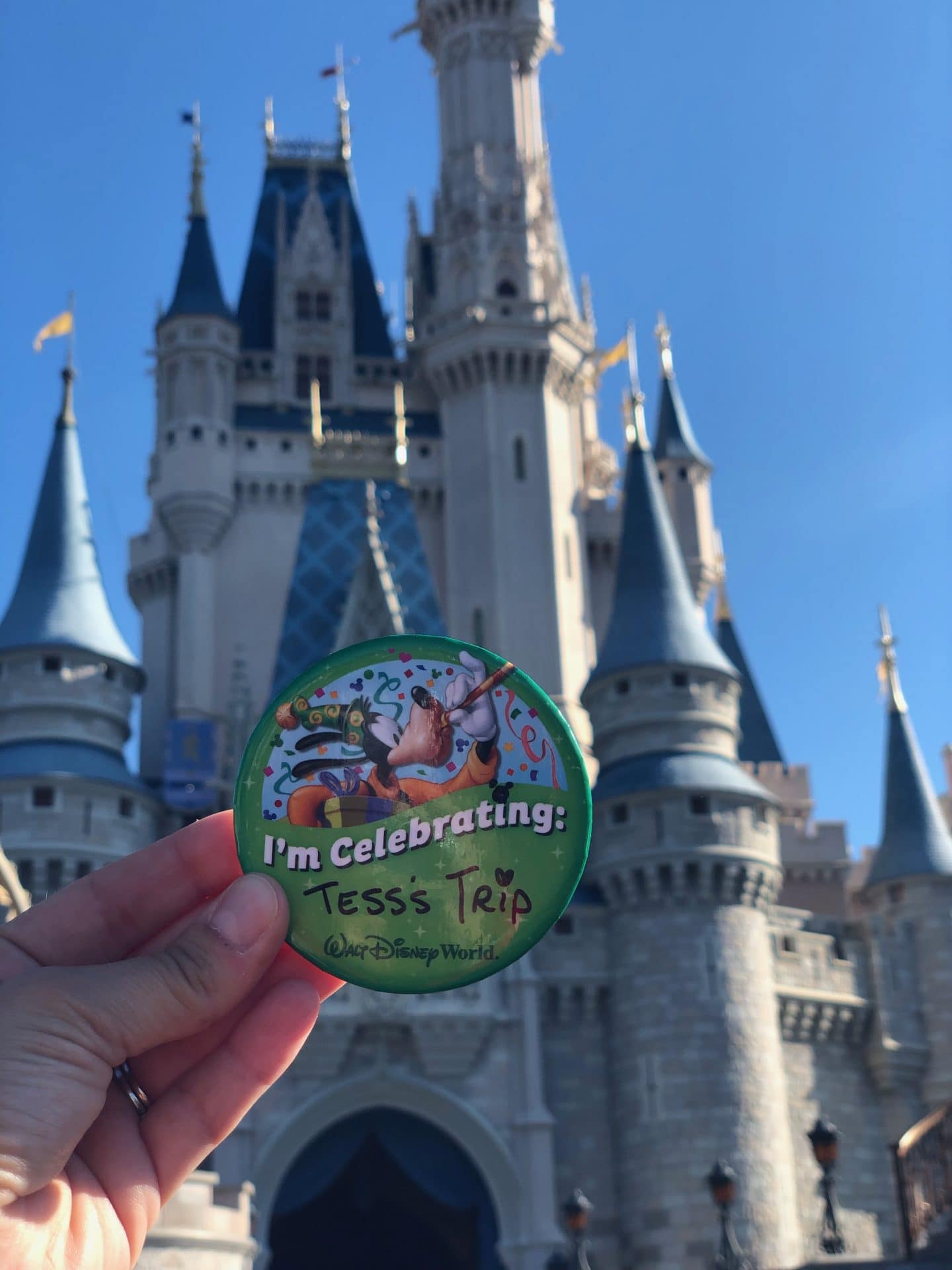 morning show at cinderella's castle magic kingdom disney 