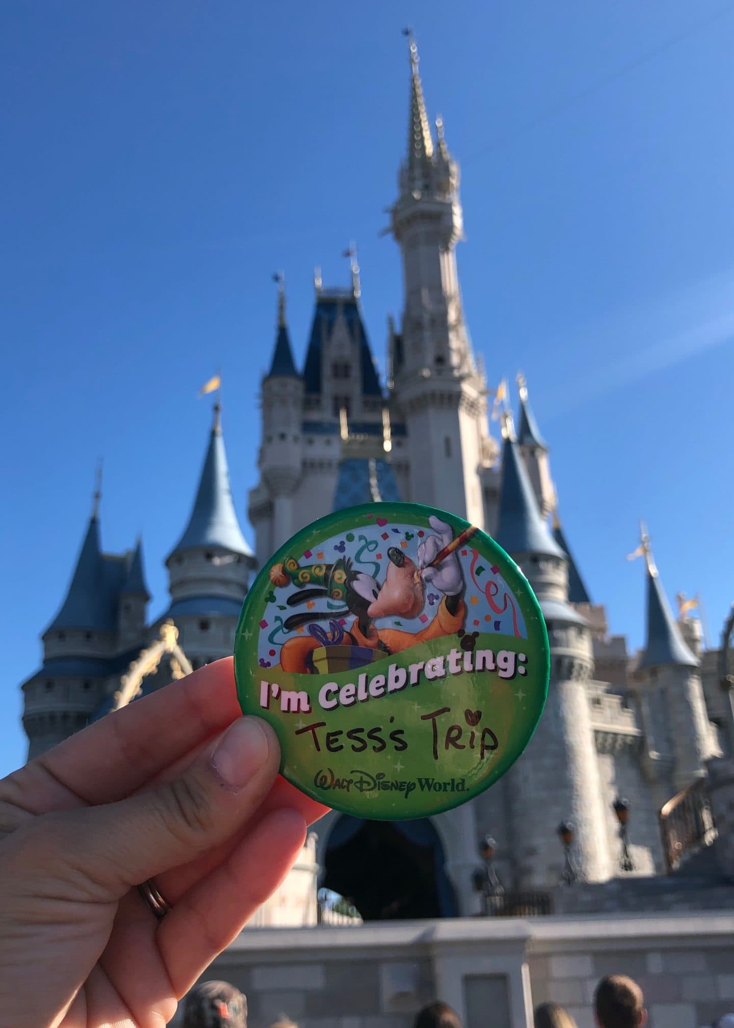 morning show at cinderella's castle magic kingdom disney 