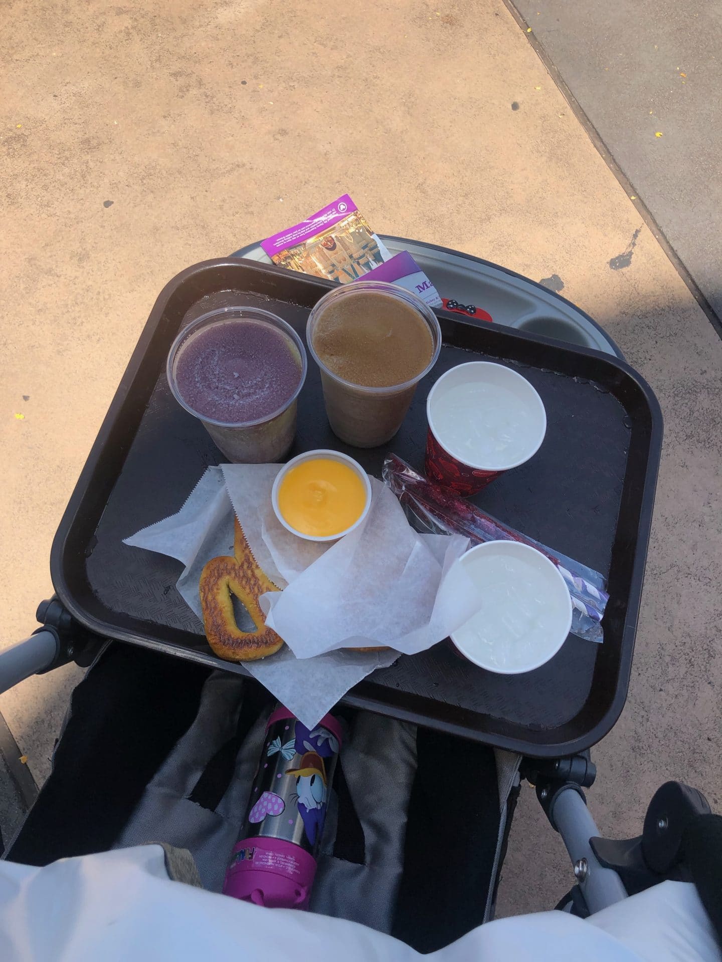 lunch at magic kingdom