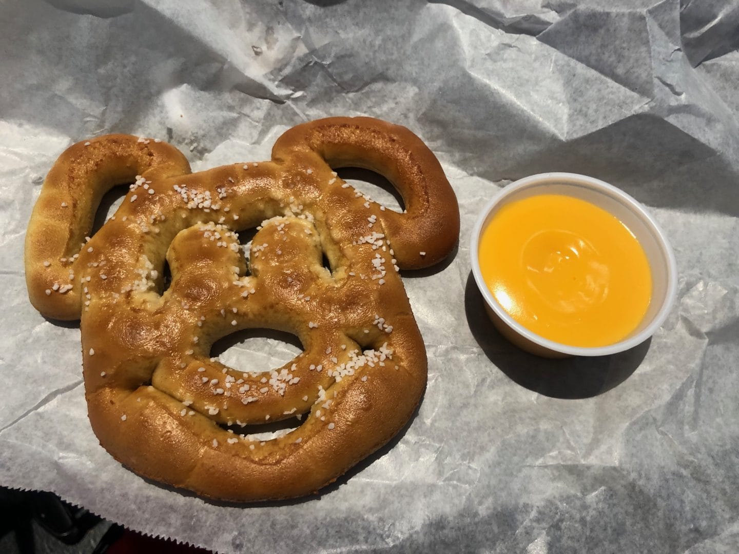 lunch at magic kingdom