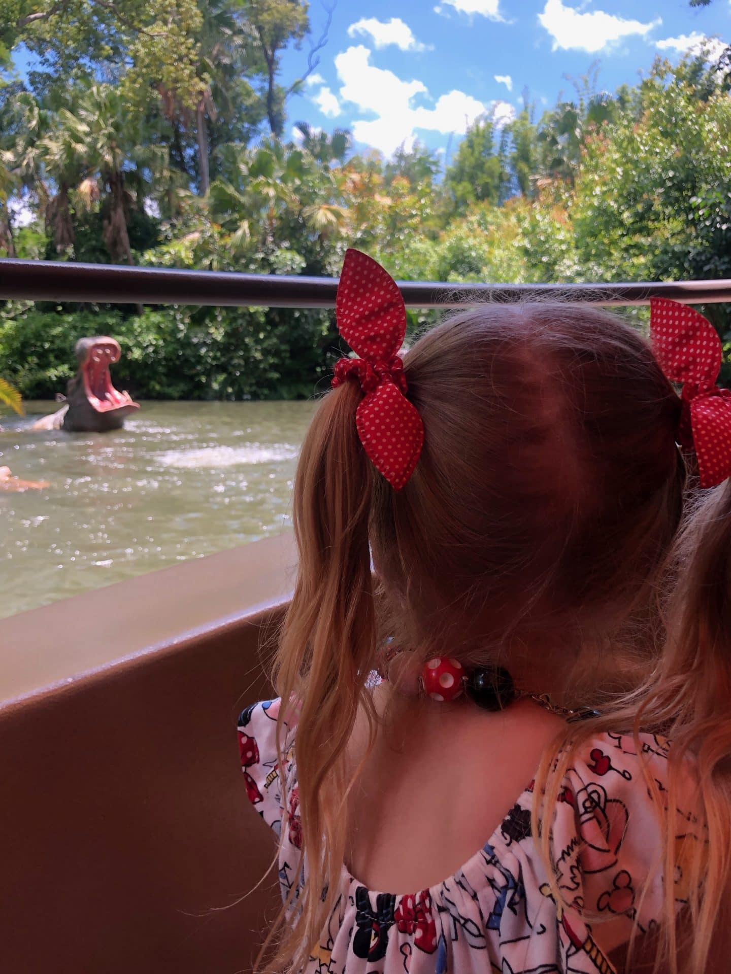 jungle cruise at magic kingdom