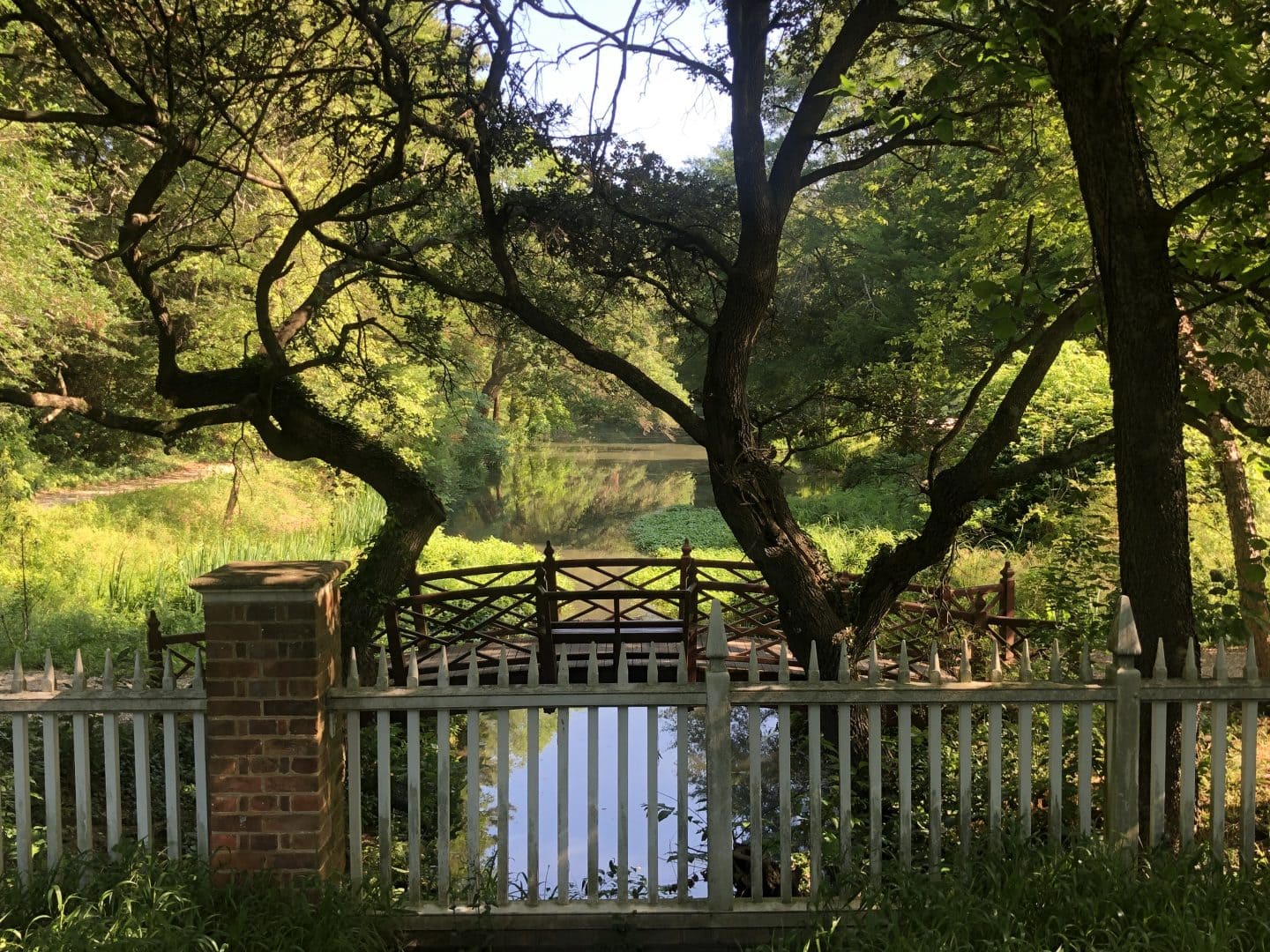 walking though paths along Colonial Williamsburg