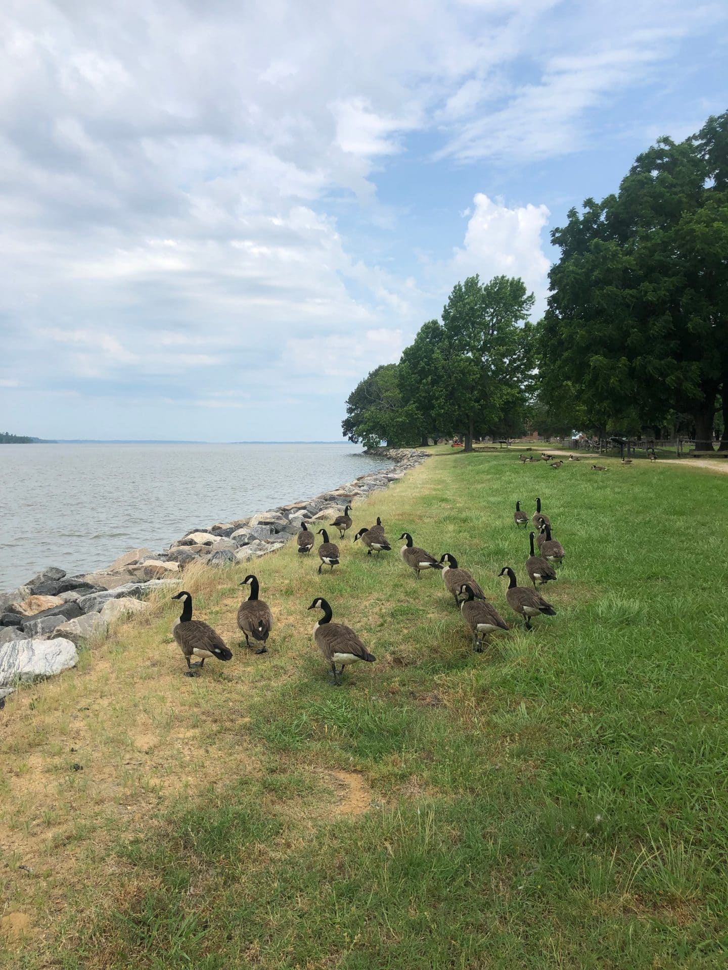 historic Jamestown Virginia