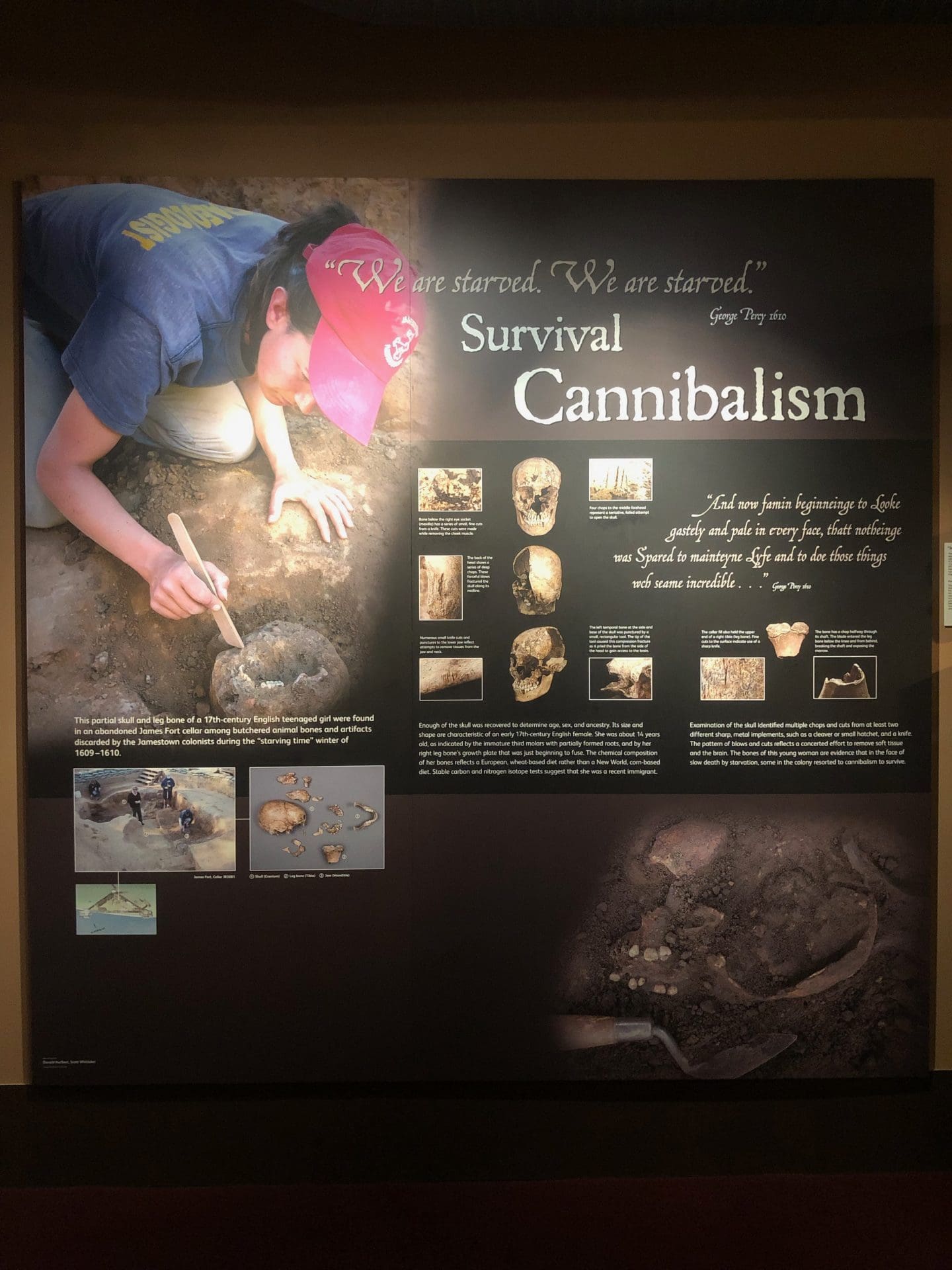 canibilism in historic Jamestown Virginia