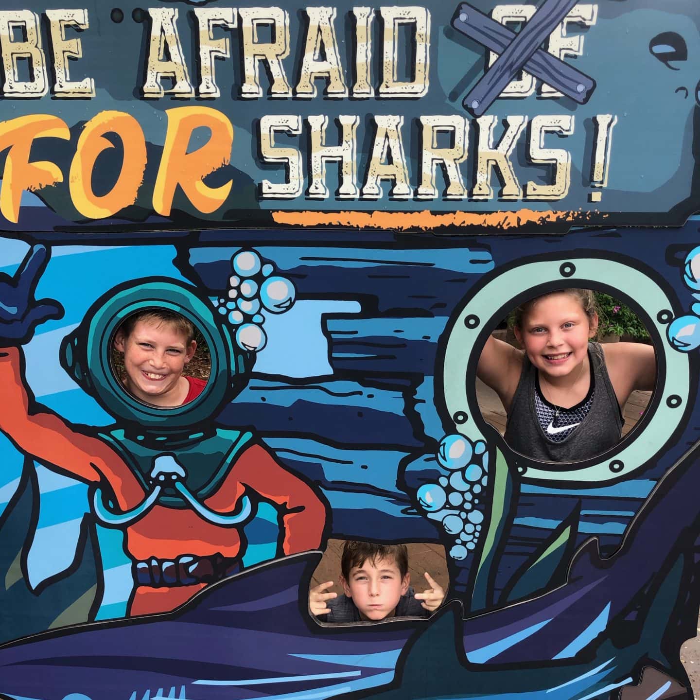 shark area at sea world