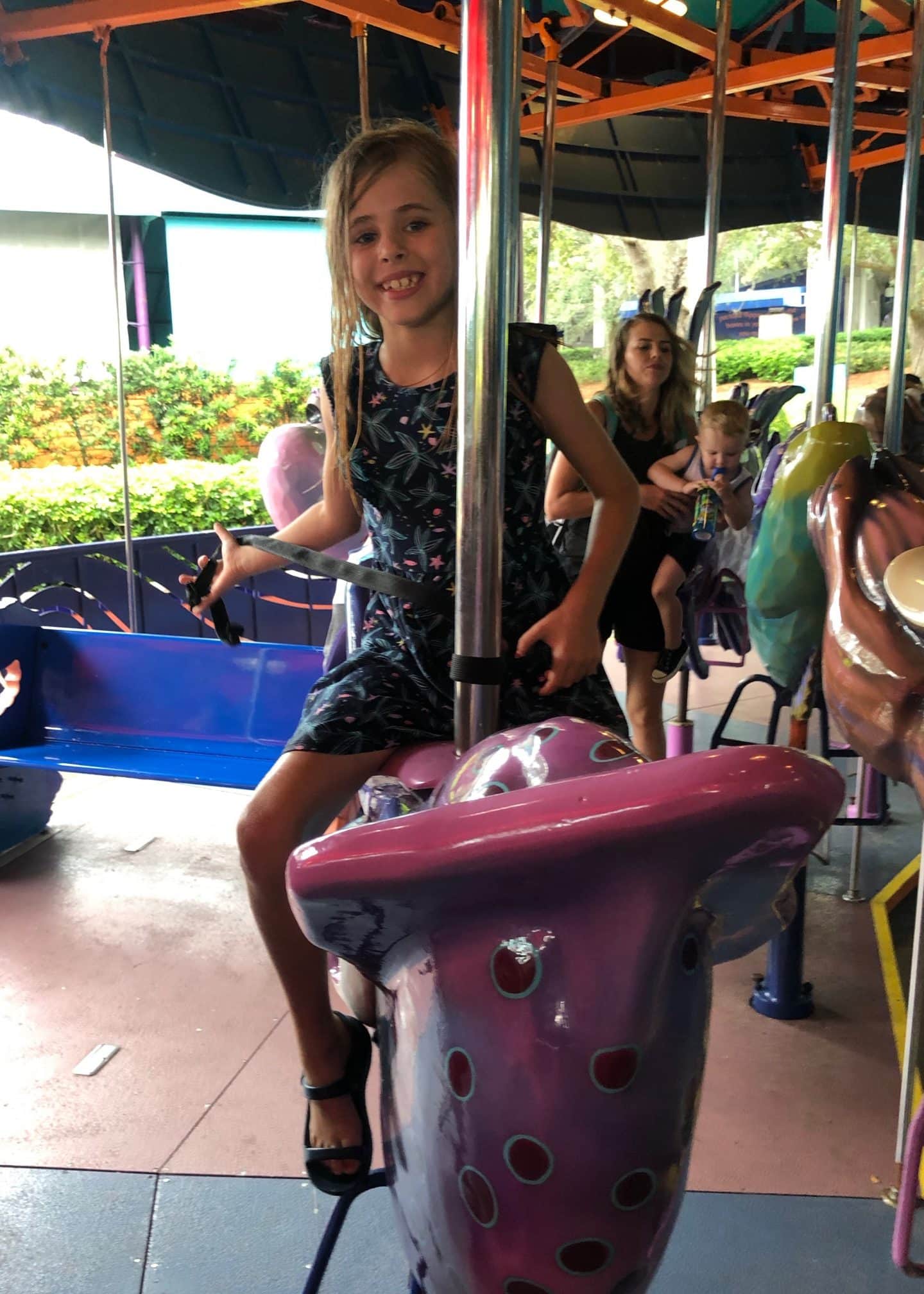 carousel at sea world