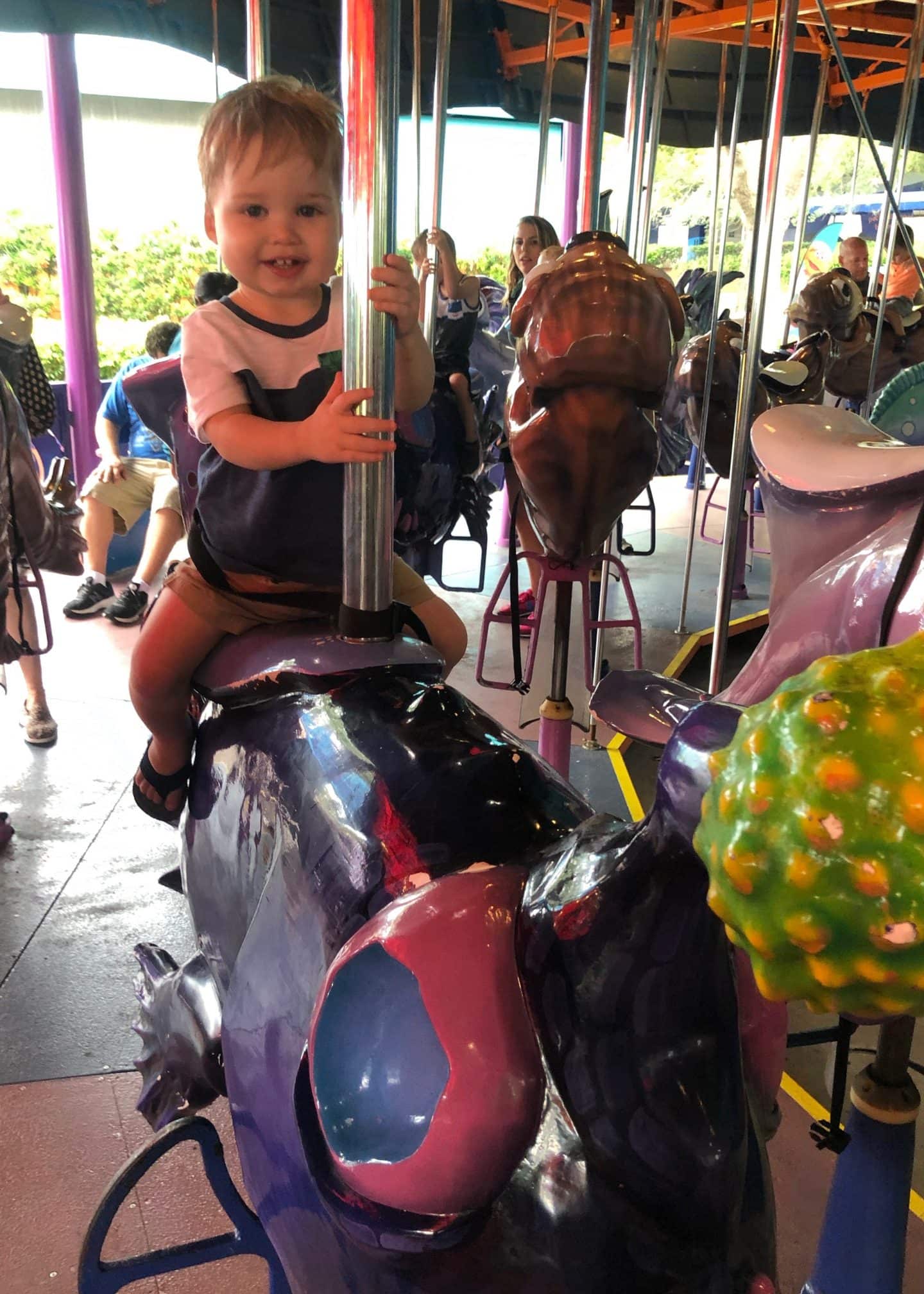 carousel at sea world