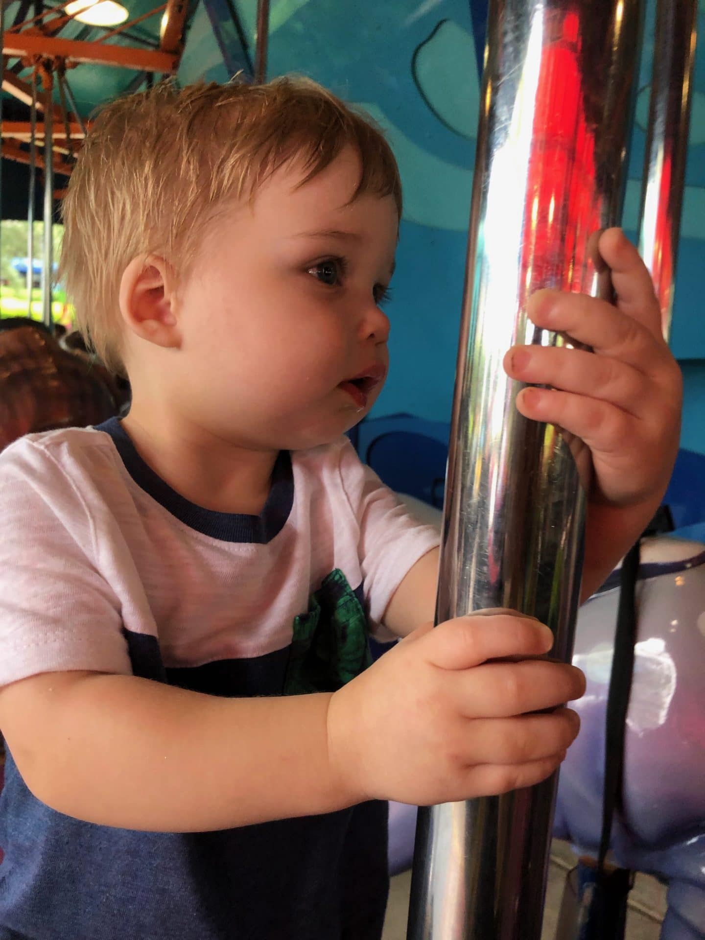 carousel at sea world