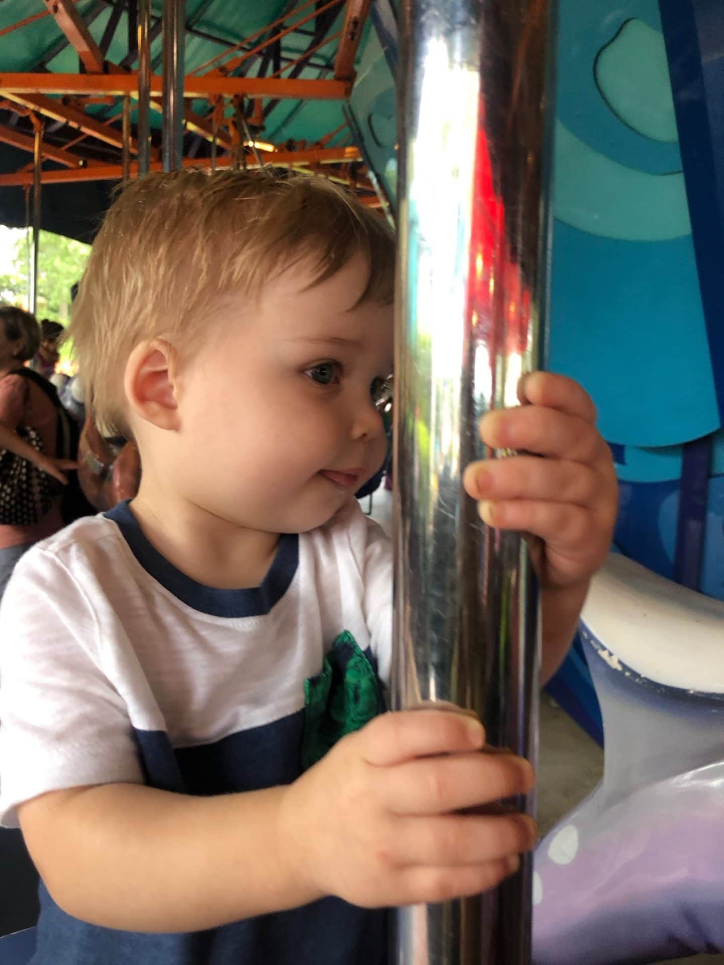 carousel at sea world