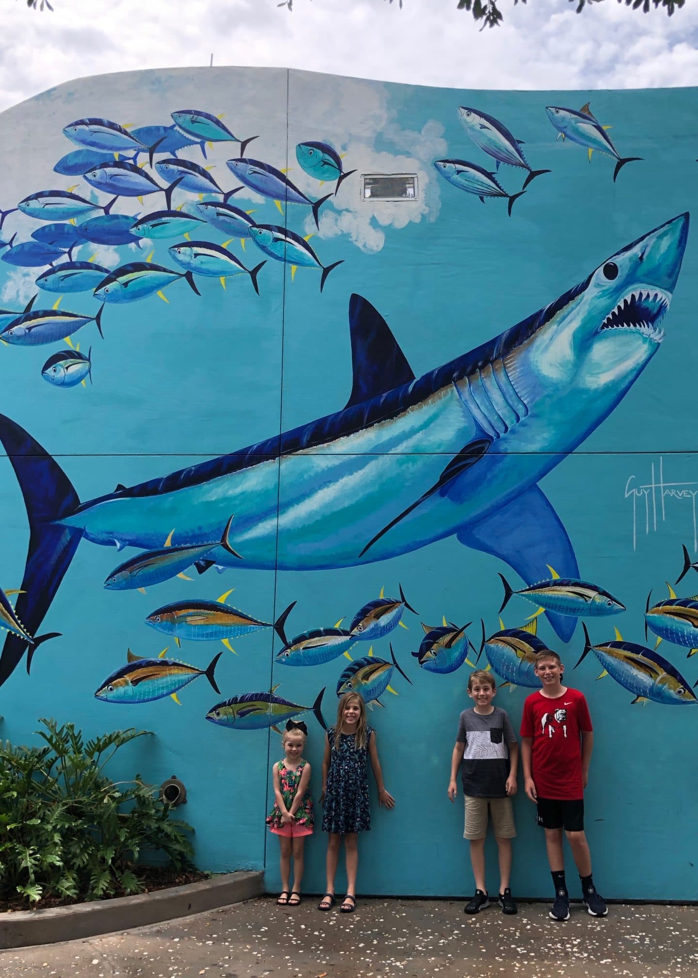 shark area at sea world