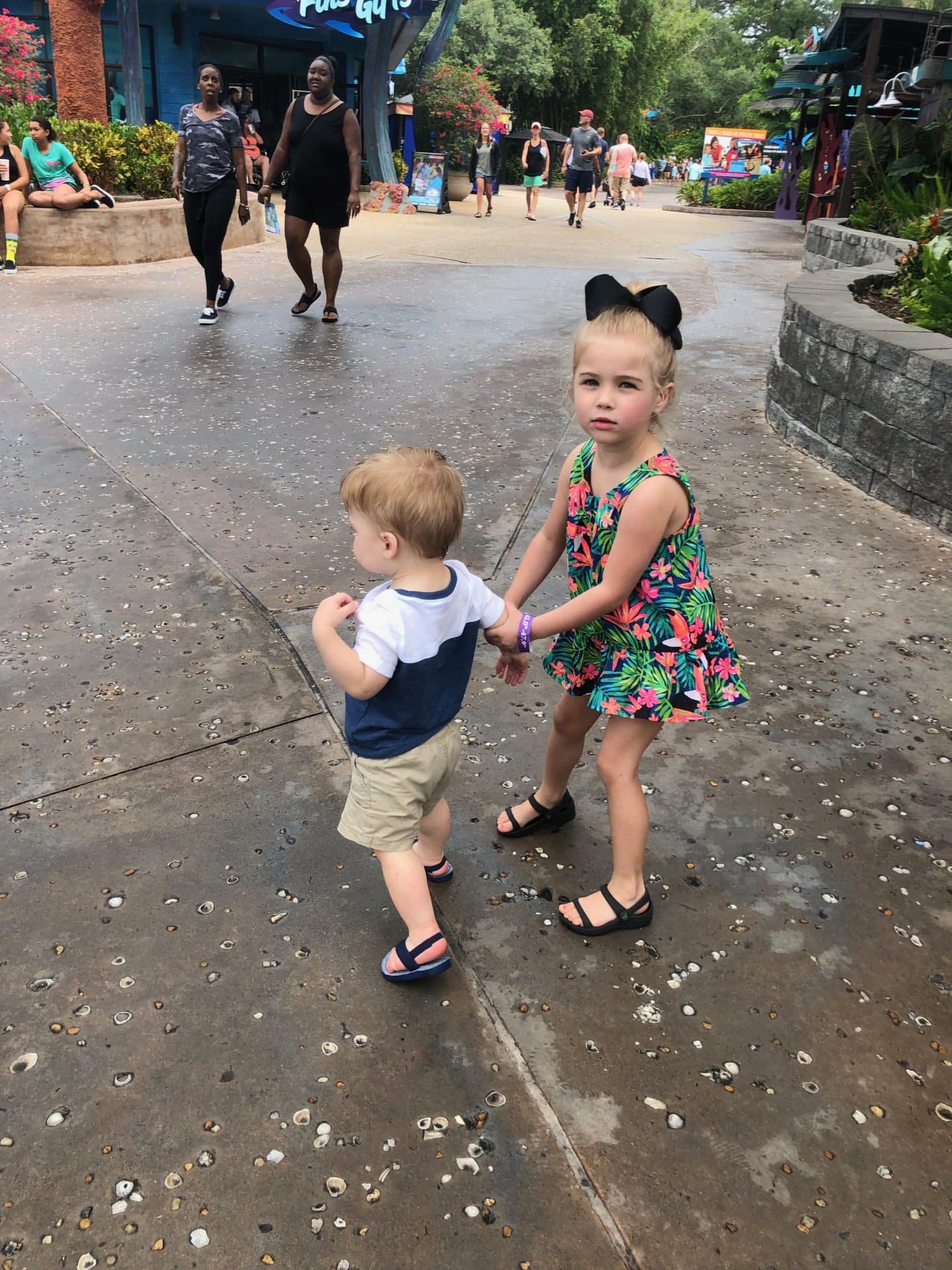 exploring sea world Orlando 