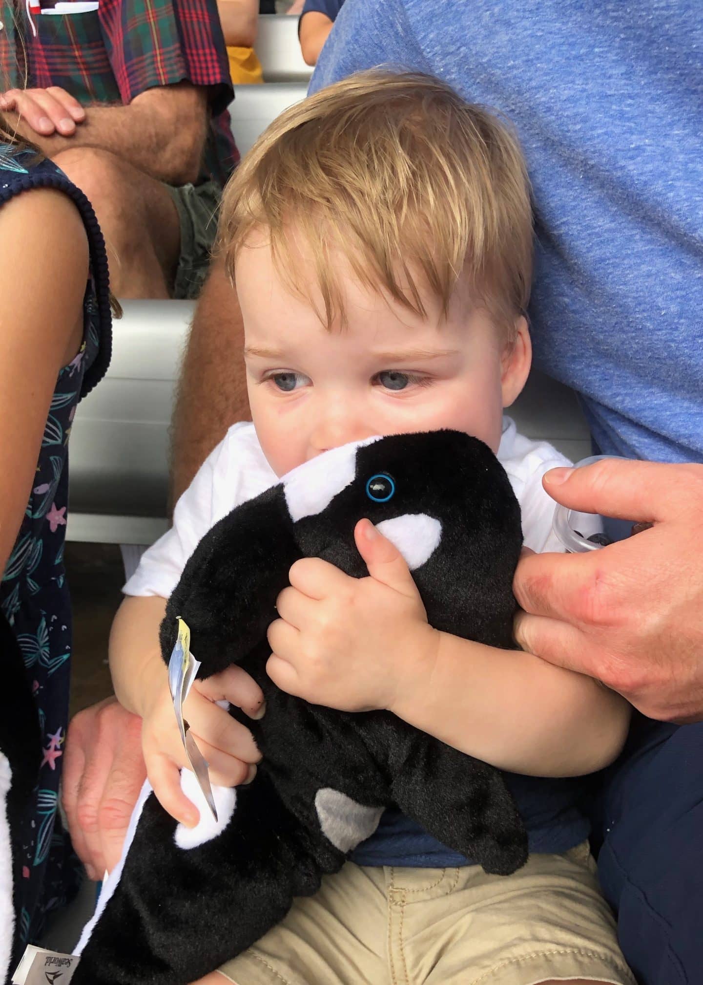 Shamu stuffed animal