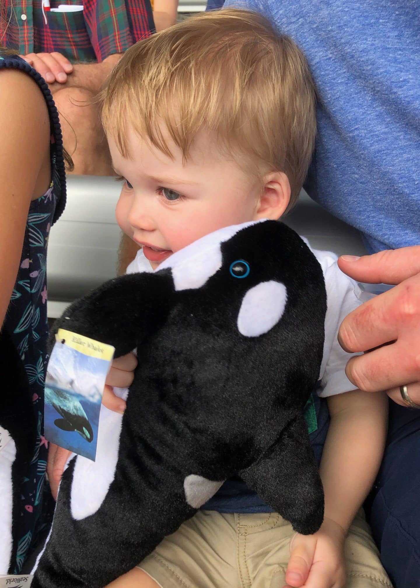 Shamu stuffed animal