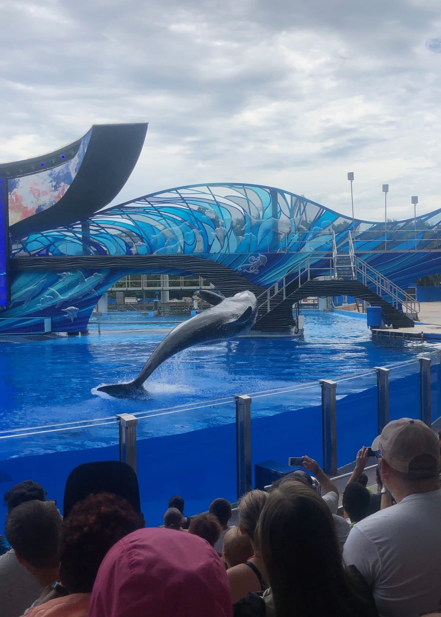 one ocean show at sea world